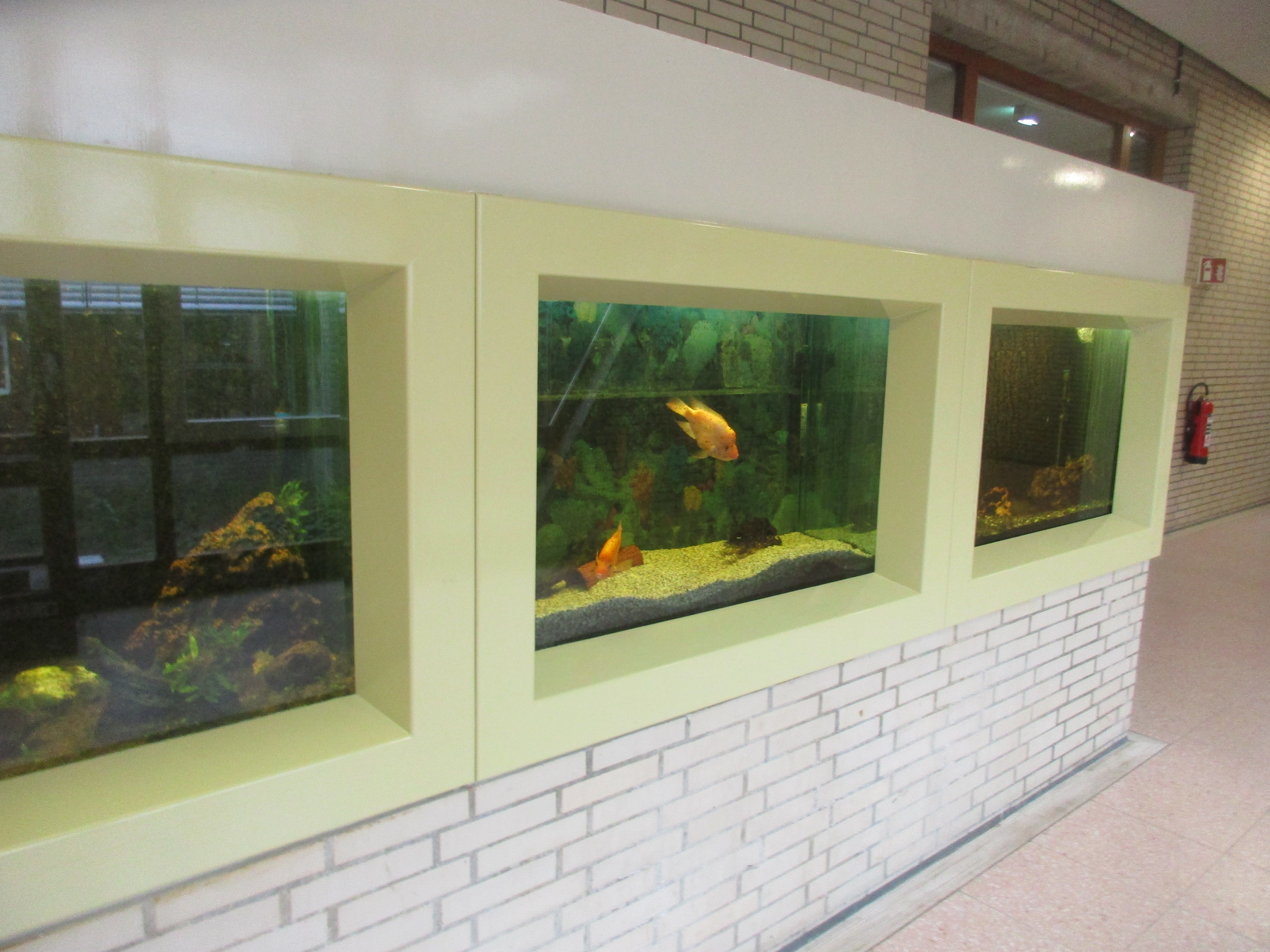 Aquarium.JPG